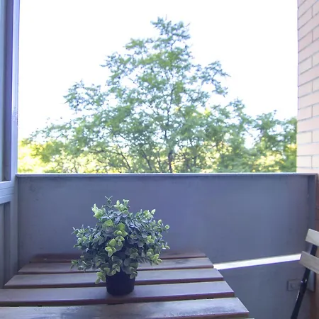 Apartamento Rentalsevilla Rafael Belmonte *